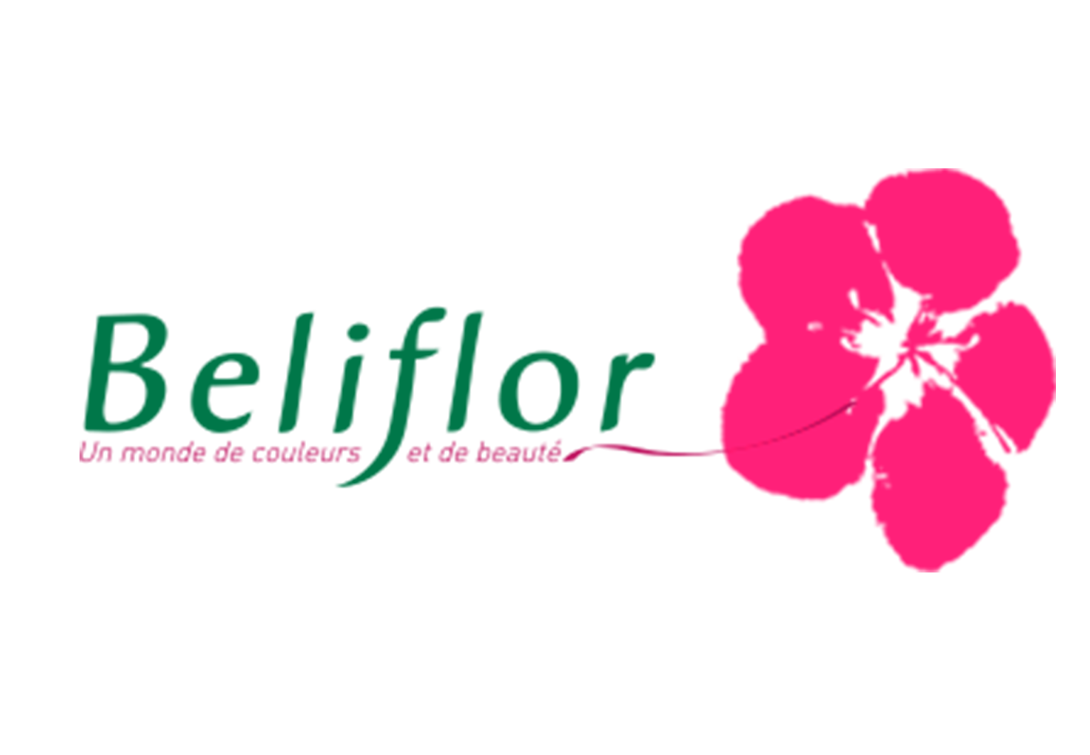 BELIFLOR